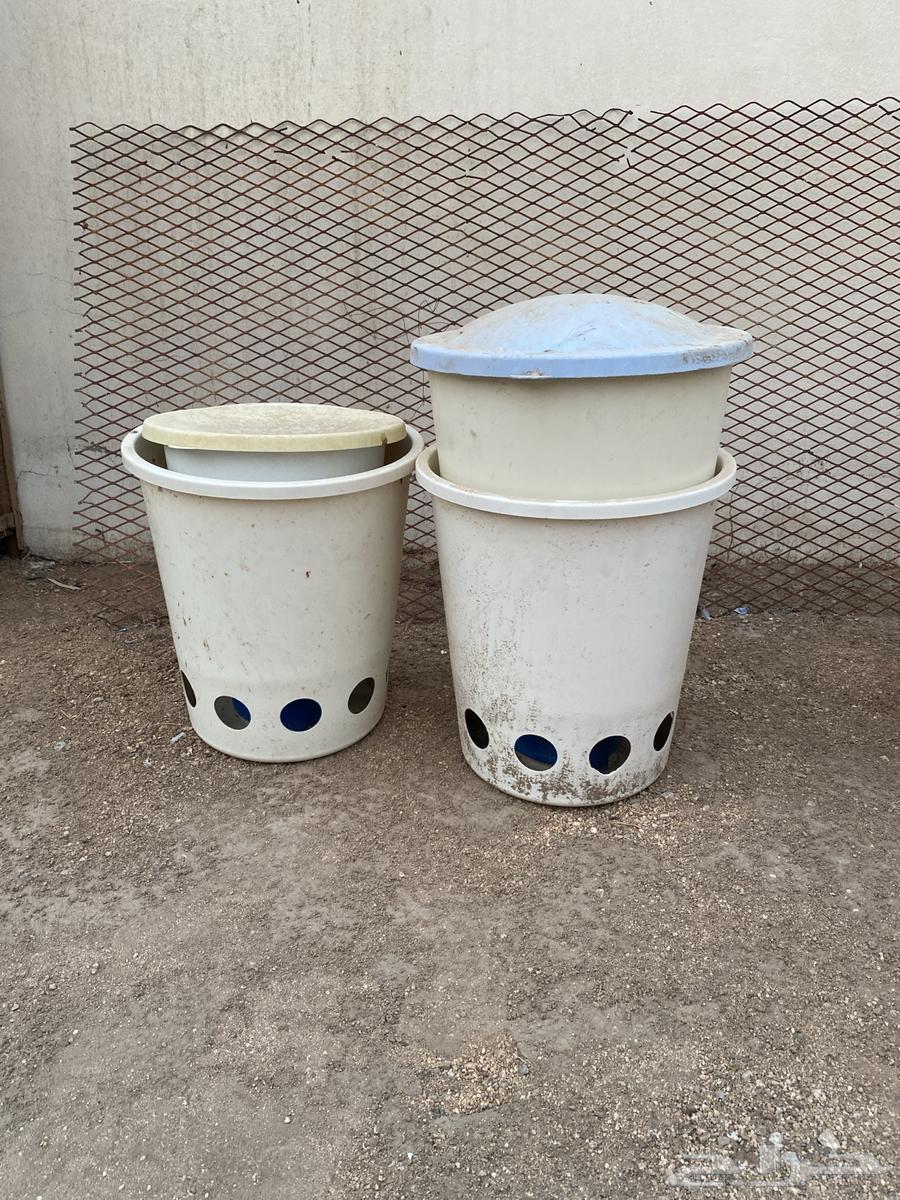 Cages and bird feeders64055257696770111