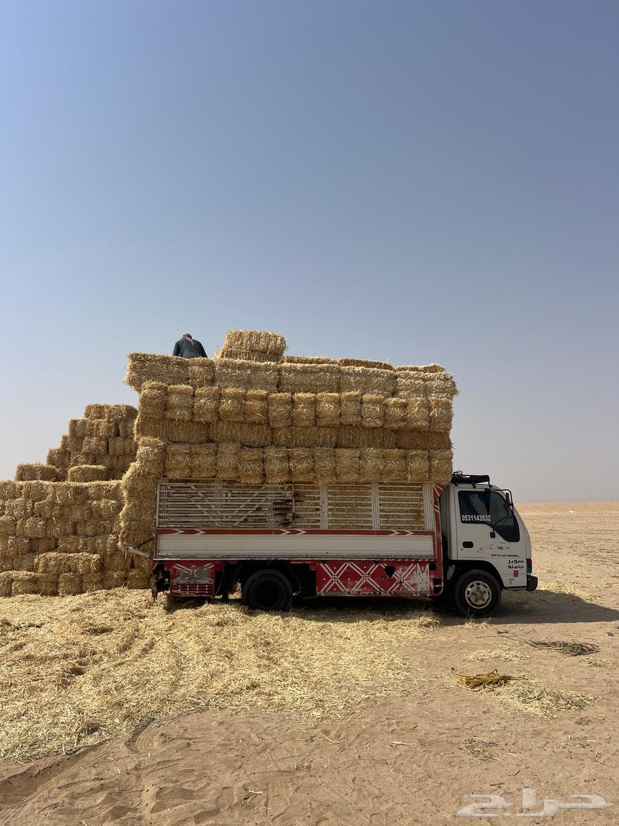 Rice, Saffi grade64024705163009112