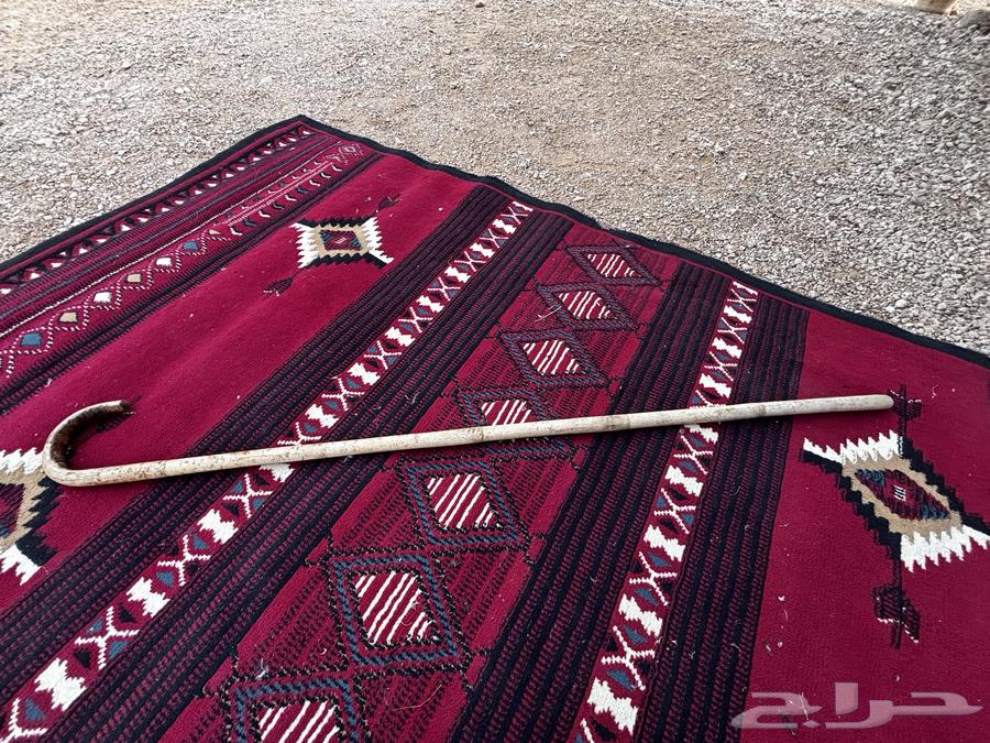 Heritage cane64041792888962113