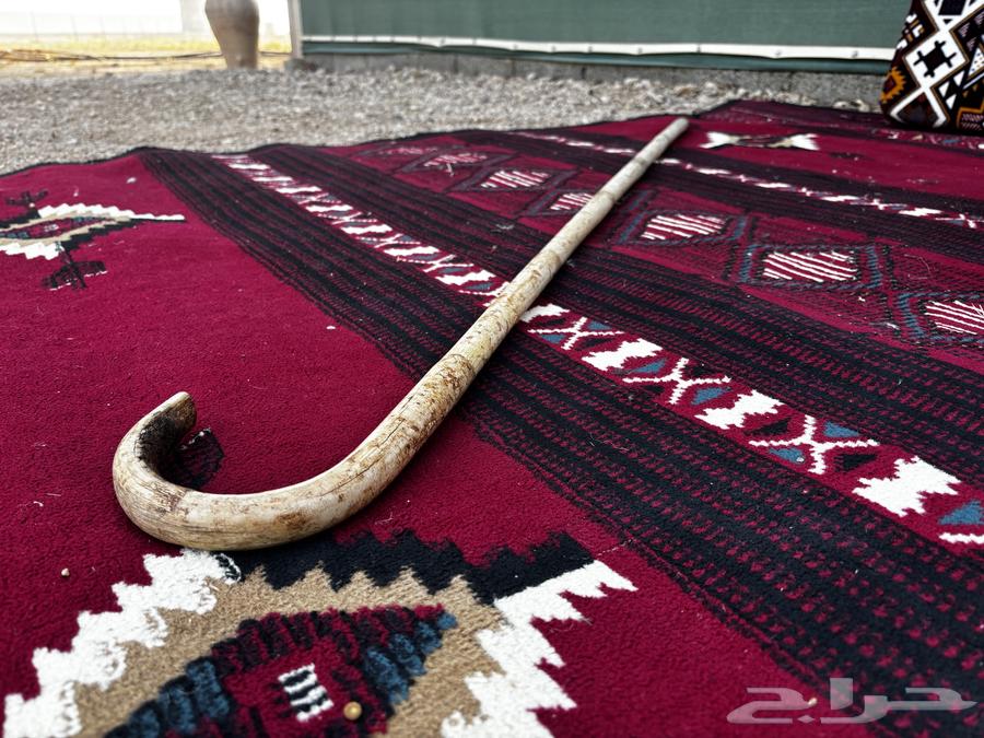 Heritage cane64041792888962112