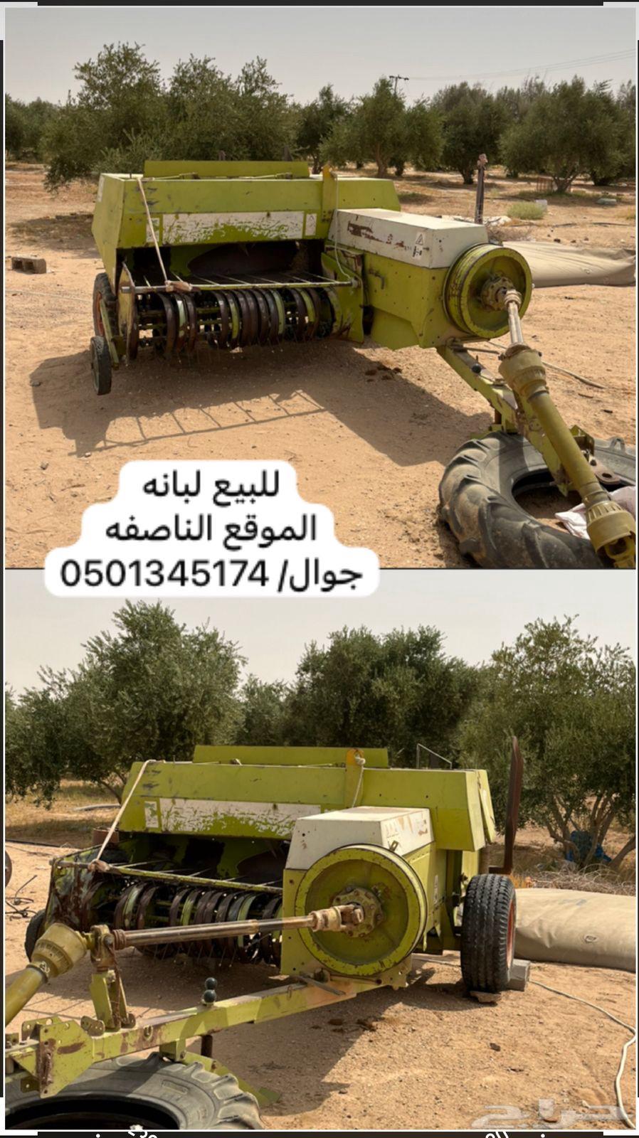 لبانه64326132951683111