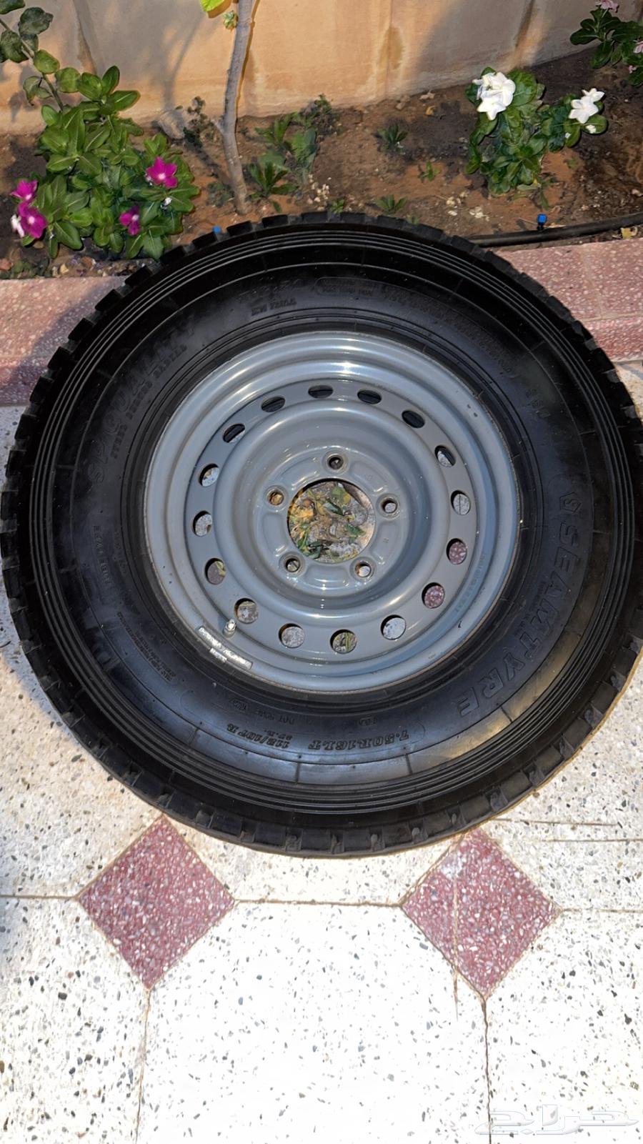 جنوط جيب ربع 202164336912484098110