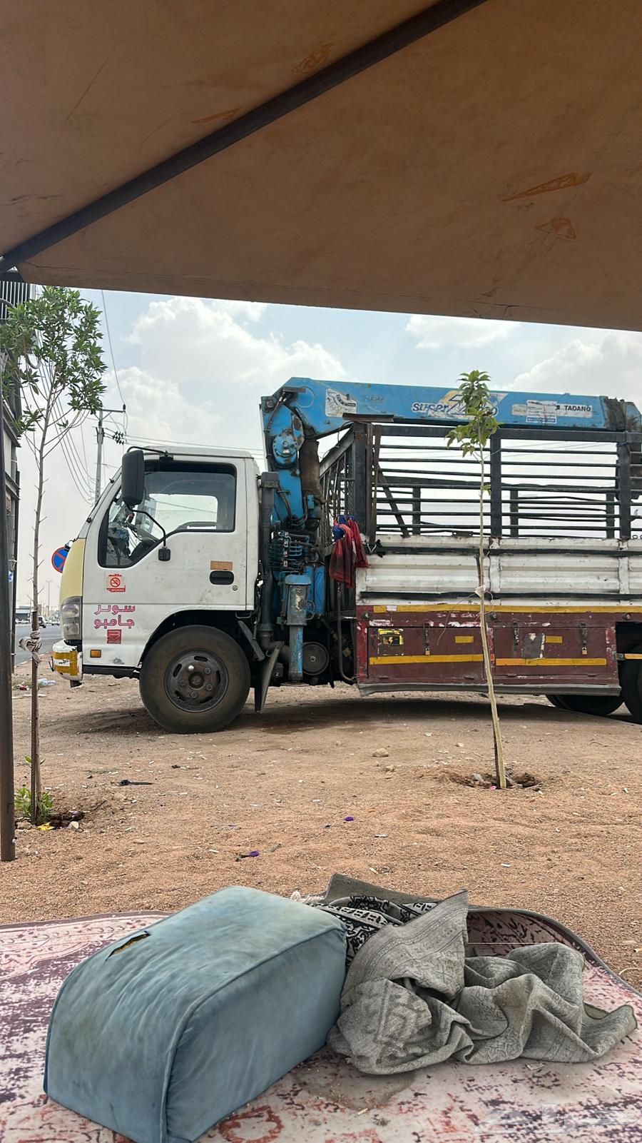 دينه ونش لاجار شهري64331602471811110