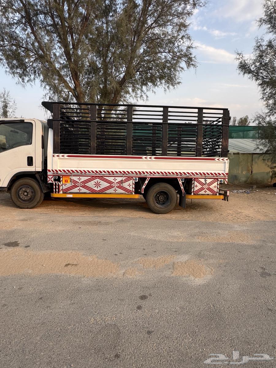 202364330116991363111