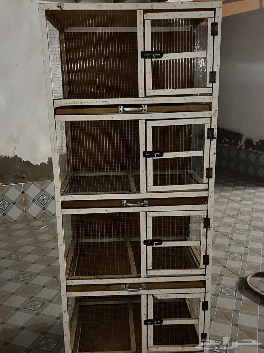 Pigeon coop or sauce four floors64096649262466110