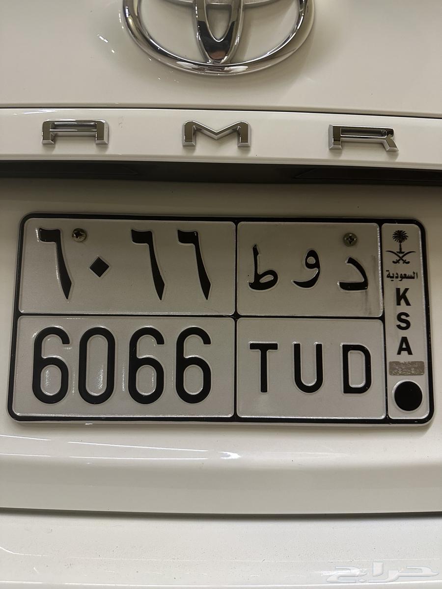 لوحه دوط 606664337931039491110