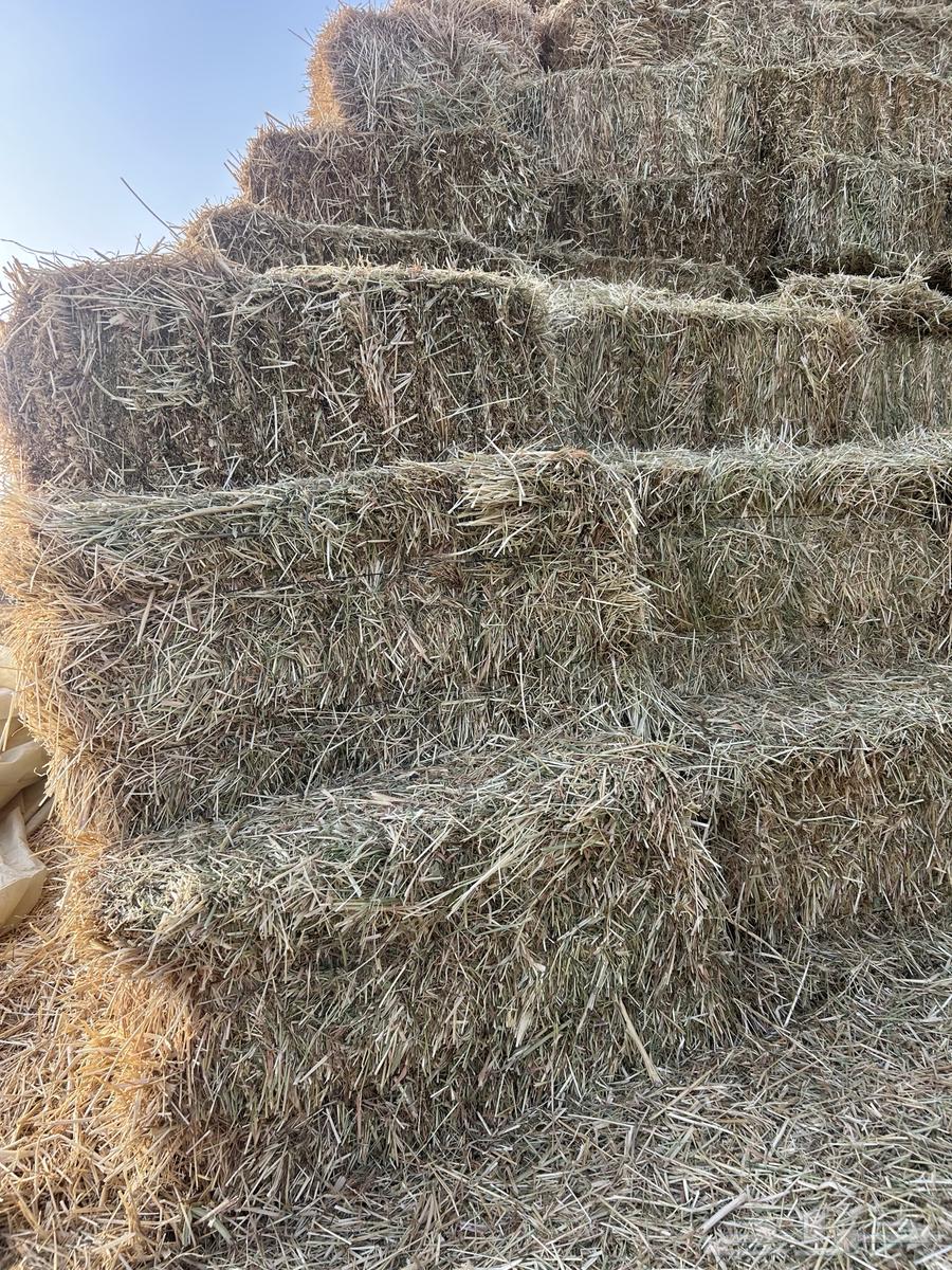 Barley and wormwood mixture63388299545602113