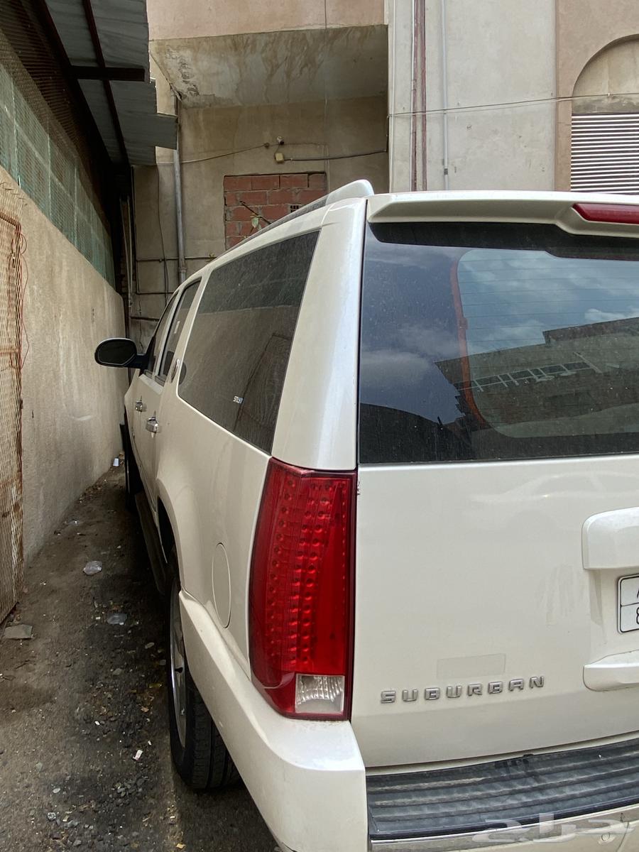 سوبر بان 2010 (نسخة 75 عام )64331256851203111