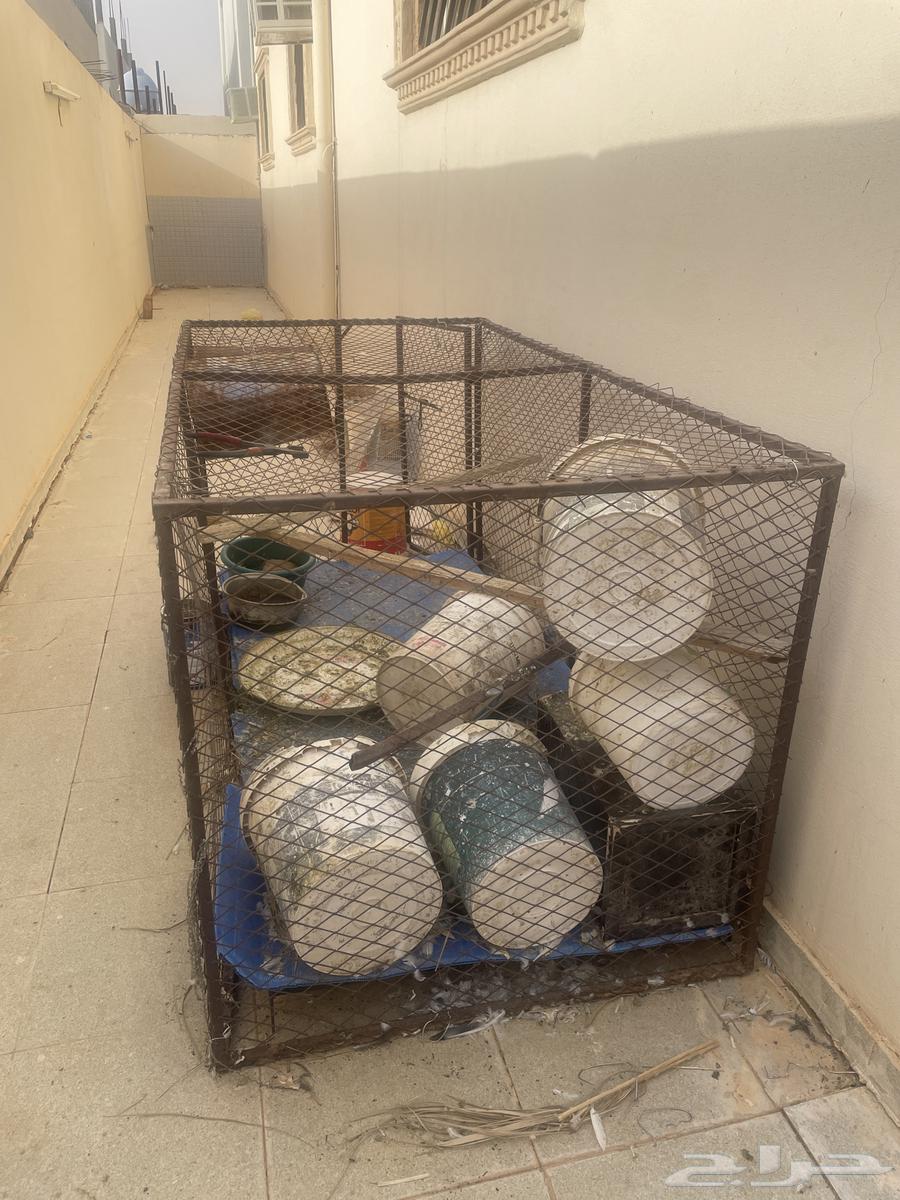 شبك للبيع64328393481474110