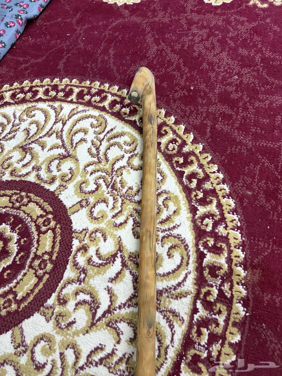 Ancient bent and olive oil-anointed Atam branch, very old64059654480770112