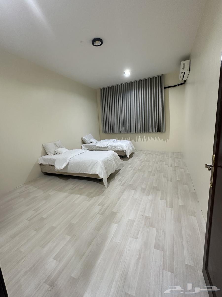 Floor and annex for rent63615484066561110