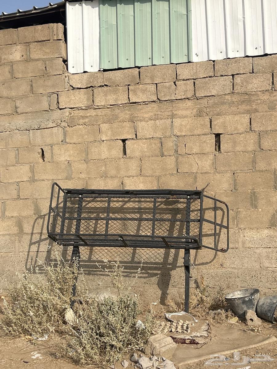 سلة جيب صالون64328363958785110