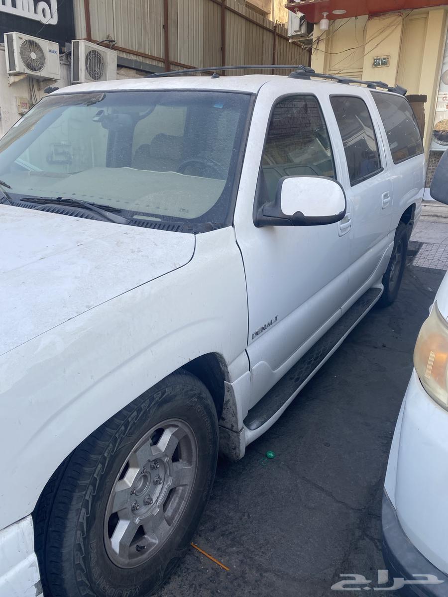 دينالي64331408884738111