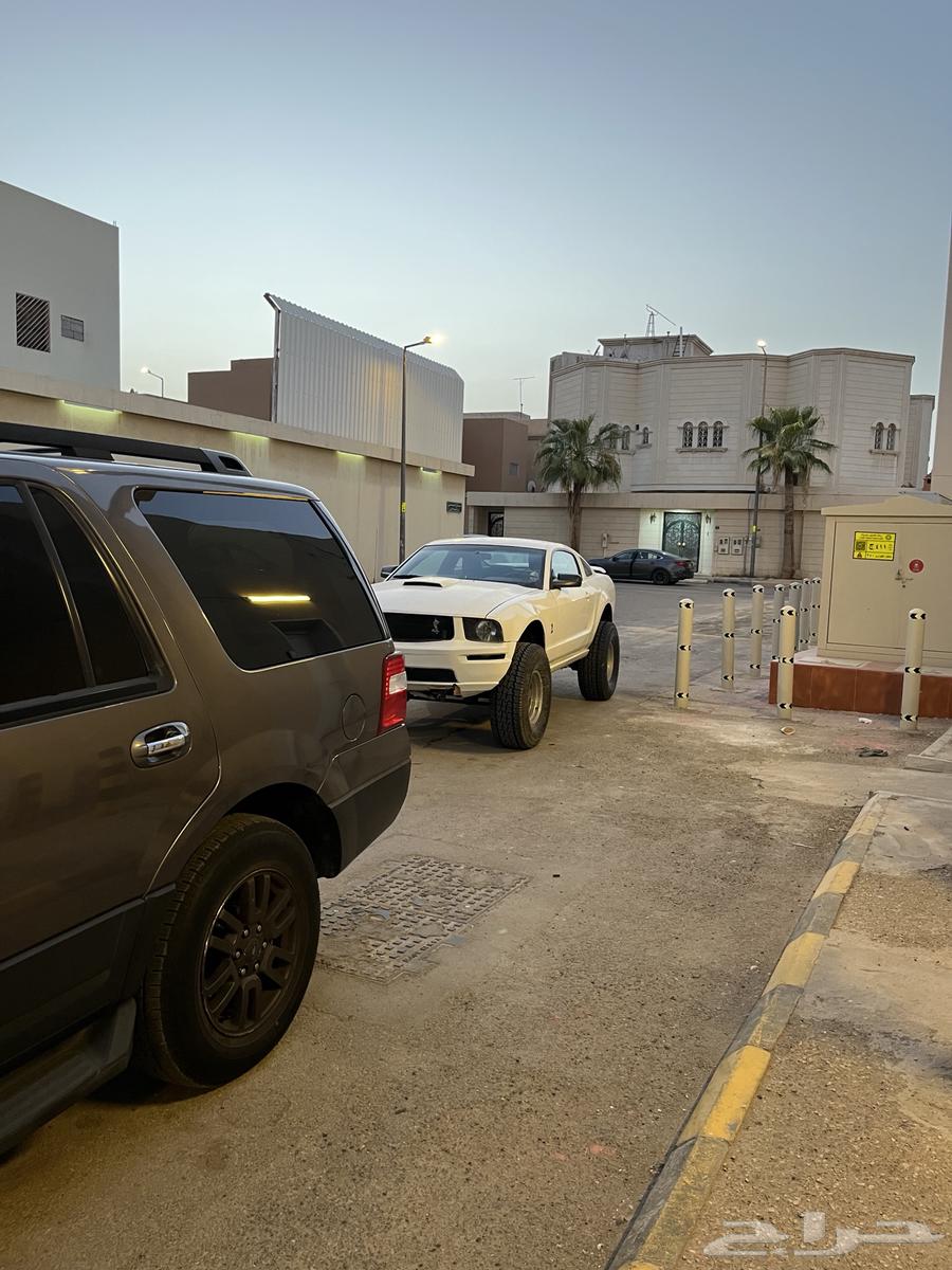 موستنق مرهم64331915031297114