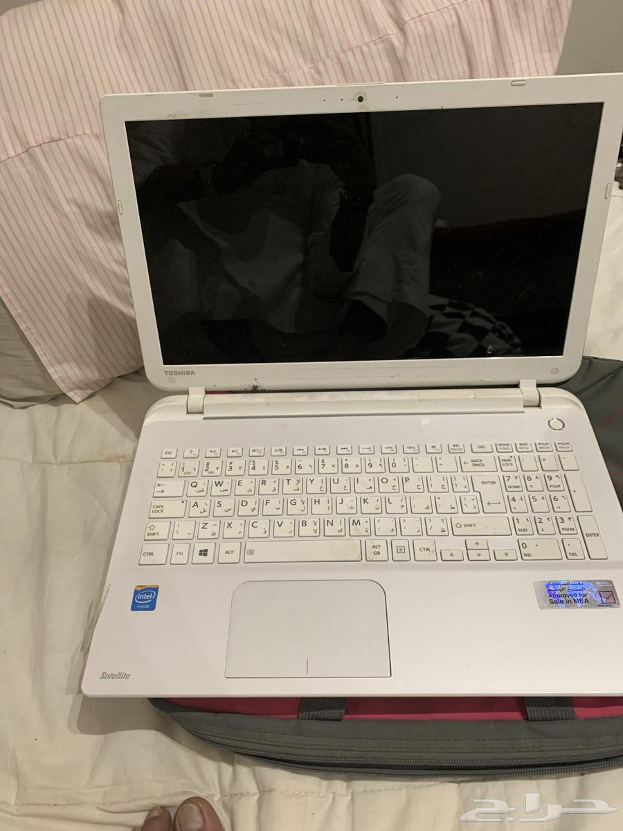 Toshiba Laptop64061031762051110