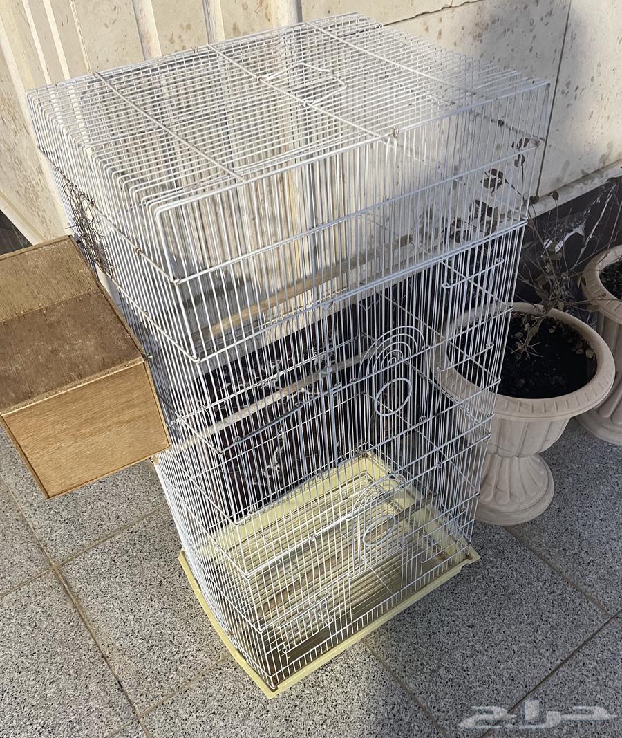 للبيع شبك طيور كبير64068417650563112