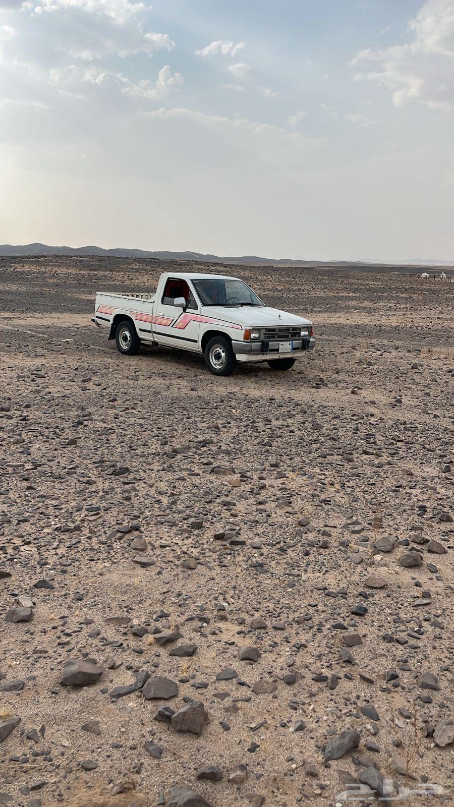 نيسان ددسن مديل 198964333301296259111