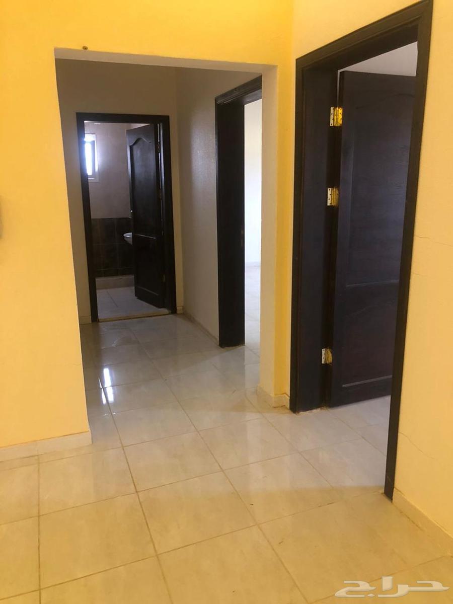 شقة للإيجار