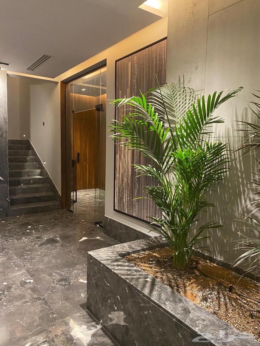 شقة للإيجار