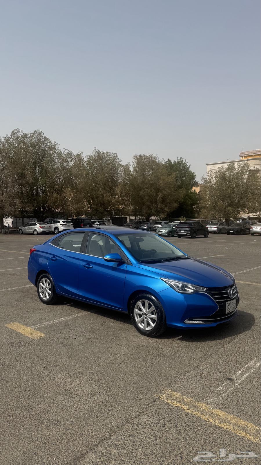 تم البيع الله يبارك للمشتري64341931624194112