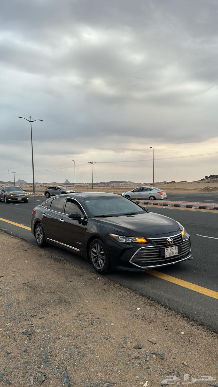 Avalon 2020 Touring Dark Brown Color64346133536899112