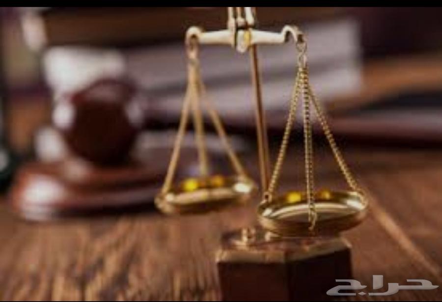 Lawyer and Legal Consultant63615627104769110