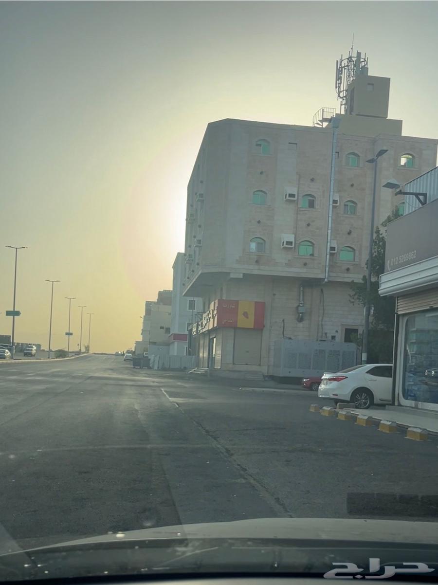 Commercial floor for sale63613009582722111
