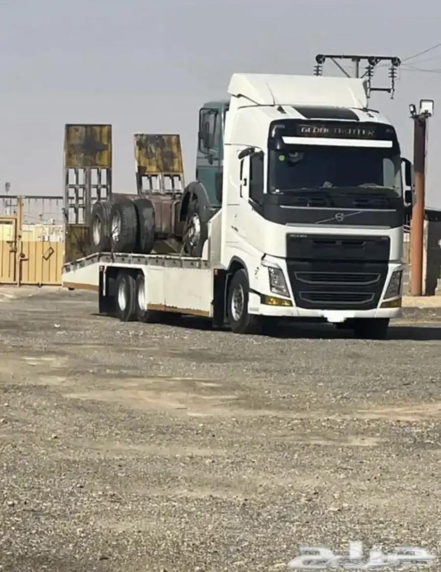 لوبد مسكس الليث المظيلف القنفذه المخواه محايل عسير جده64339526285187110