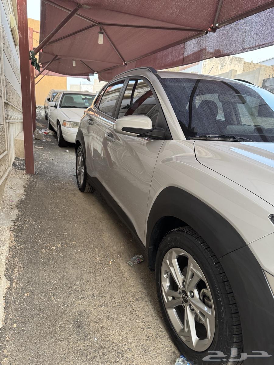 كونا قممة بالنظافه64345830350083113