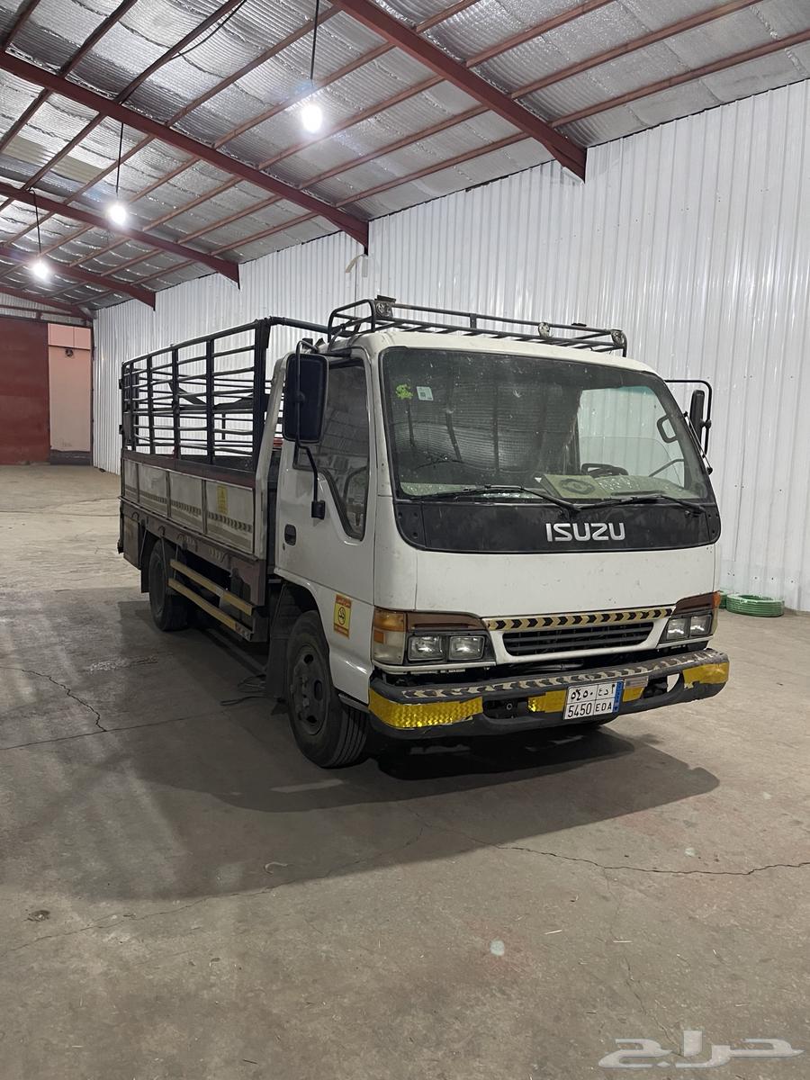 دينا ايسوزو 200264341206821121110