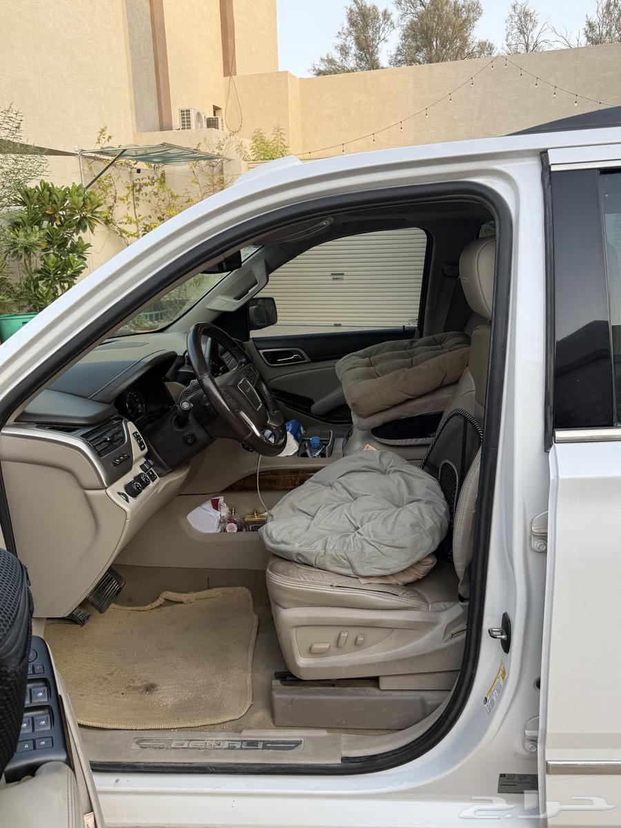 دينالي 201664344331935362113