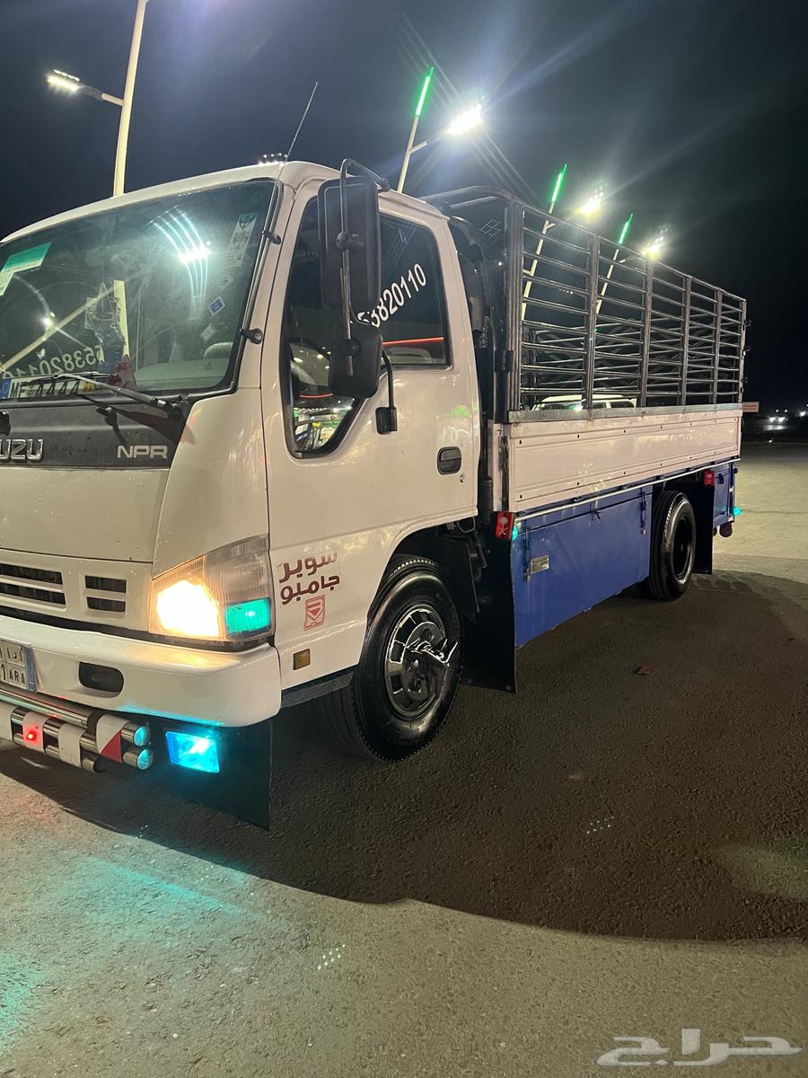 دينه 2008. بودي بلد. العدد450.64233909805825112