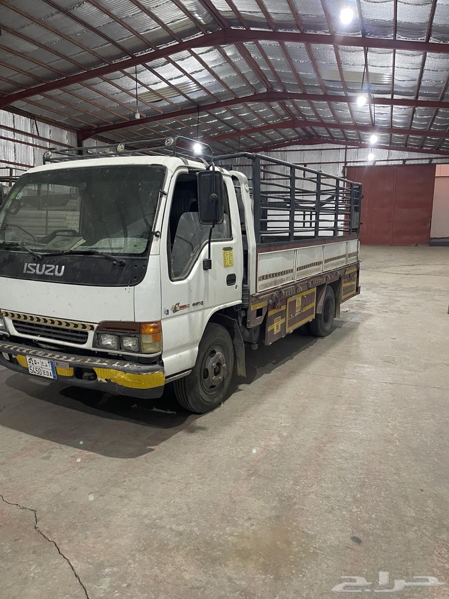 دينا ايسوزو 200264341206821121111