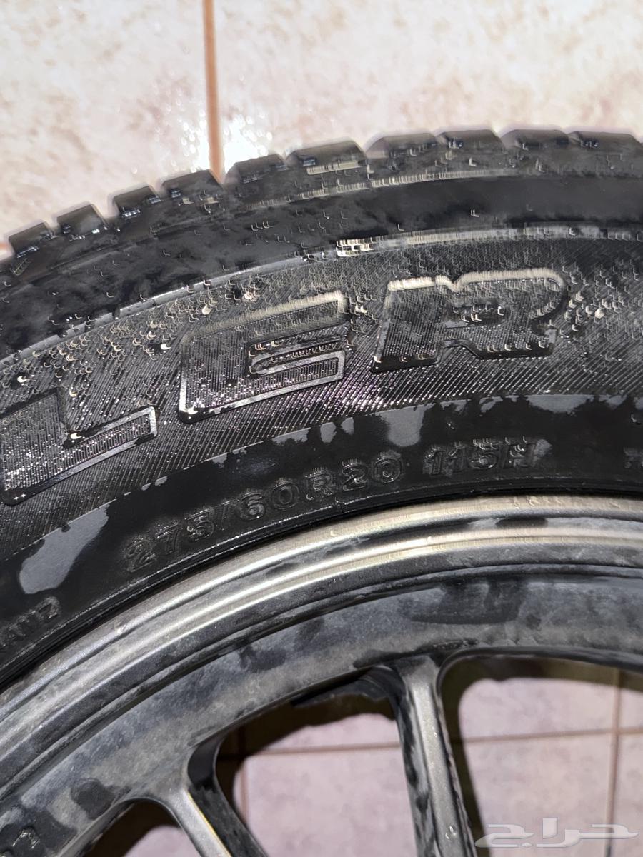 جنوط سييرا لينزو64338034694657111