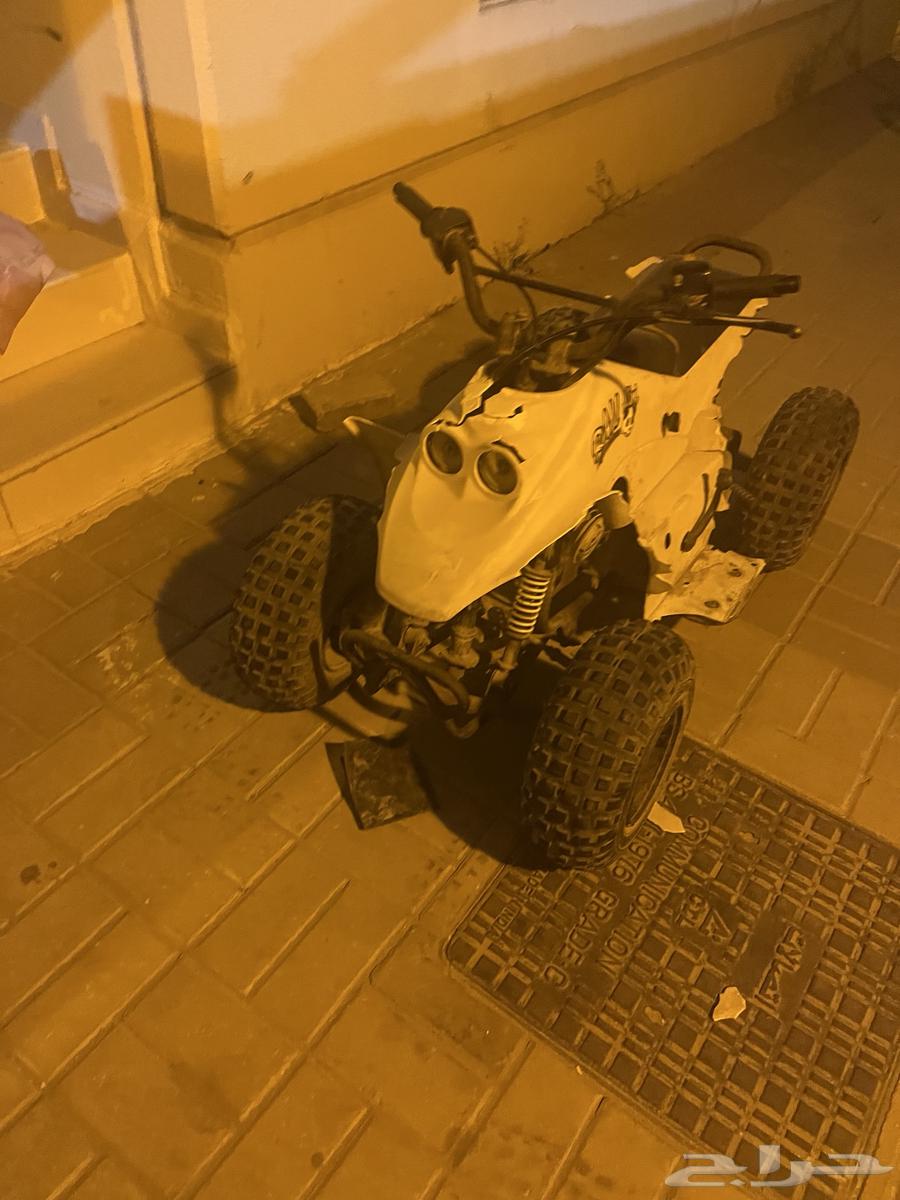 دباب رام مقاس 5064338957783043112