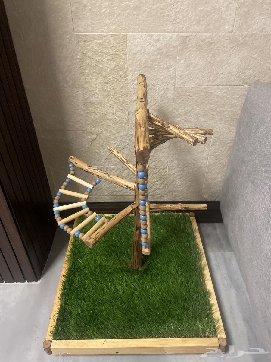 Bird cage stand or holder64096916262274112