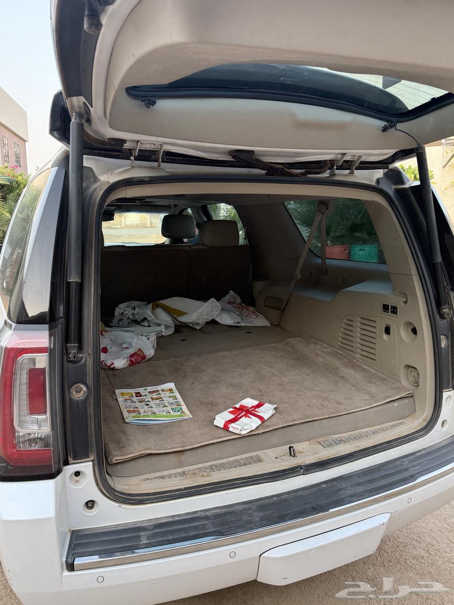 دينالي 201664344331935362110