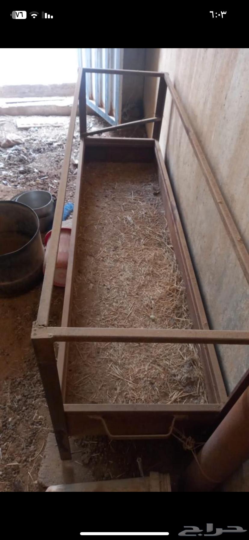 Mualaf for sale64096793042947110