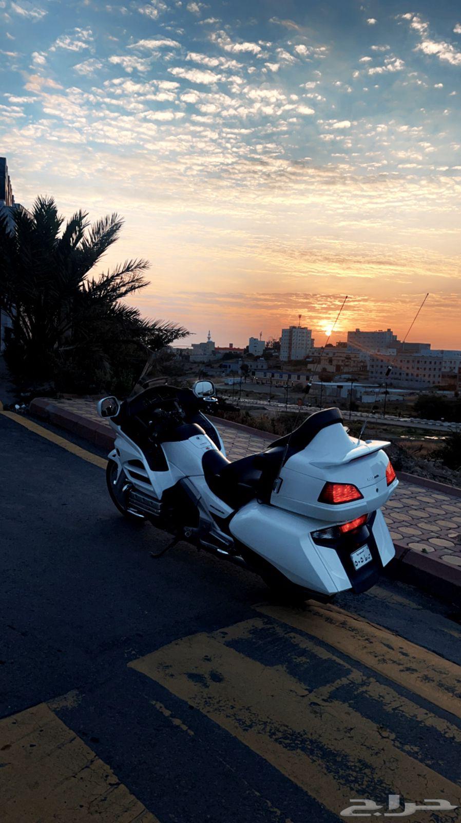 دباب رحال هوندا 201264346014501761110