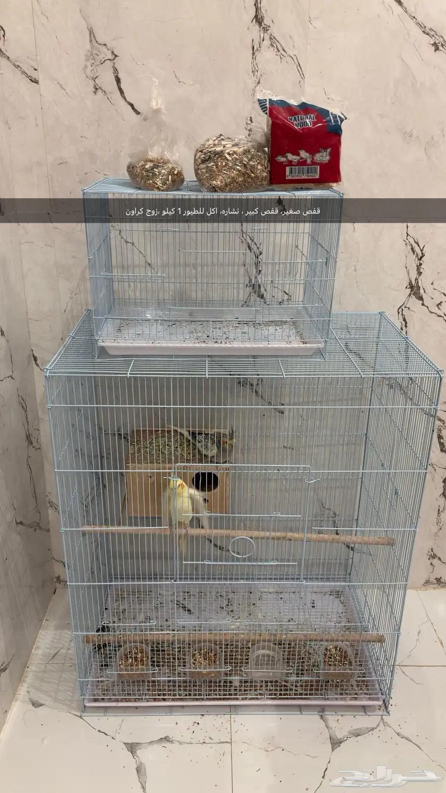 زوج طيور كروان64096903725697110