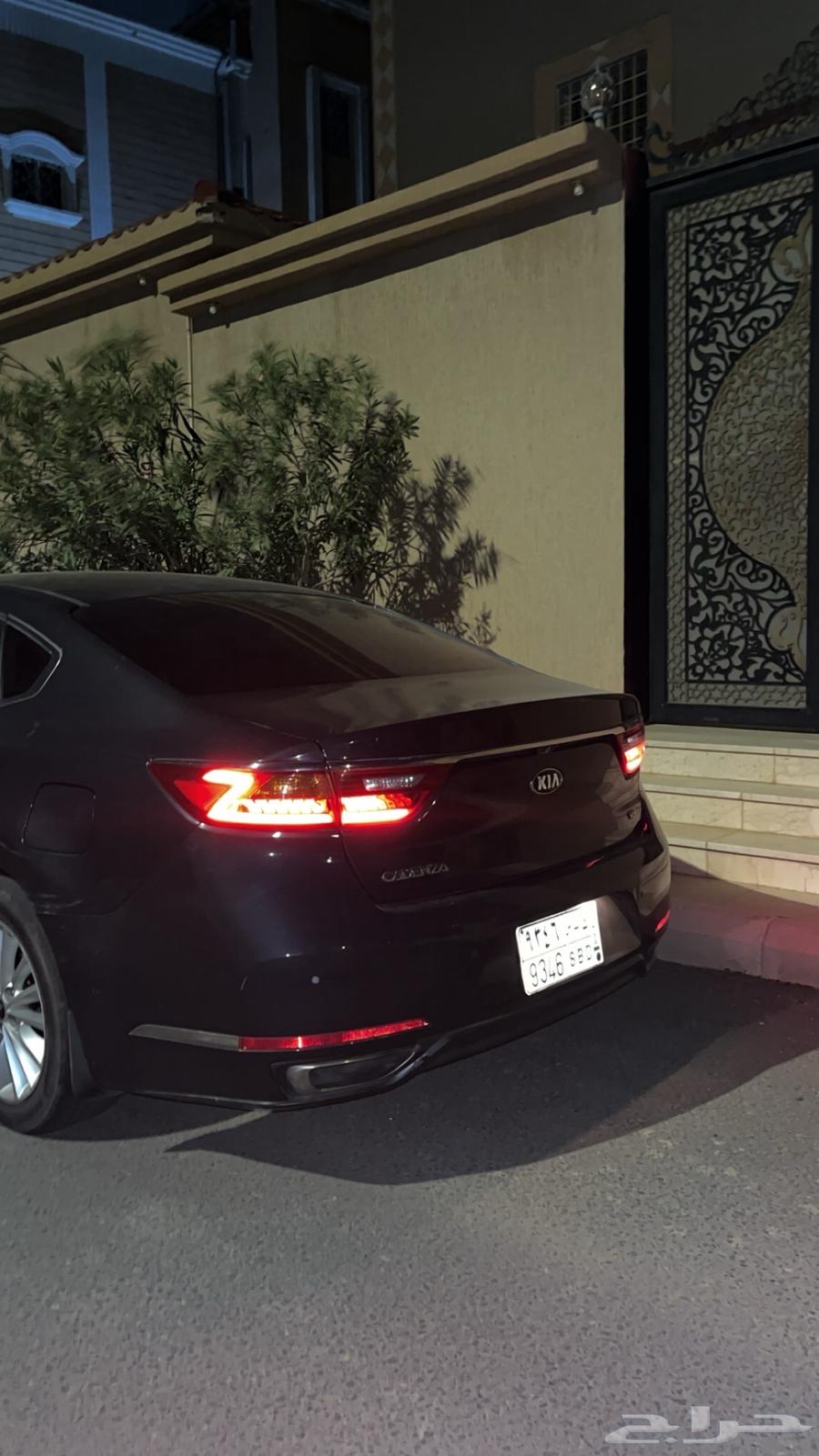 Cadence gray64350232454275113