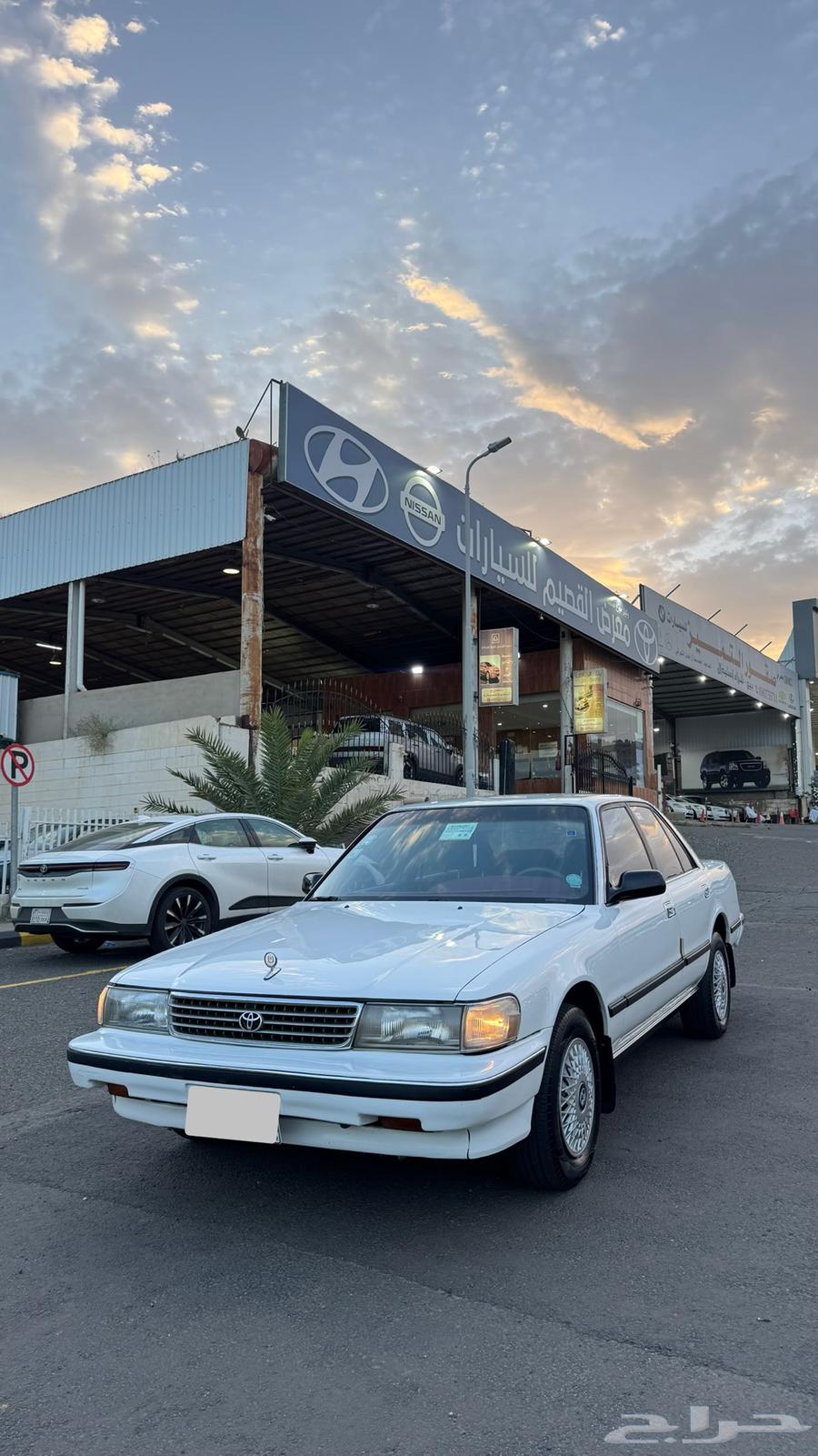 Cressida GL 199264358081015171110