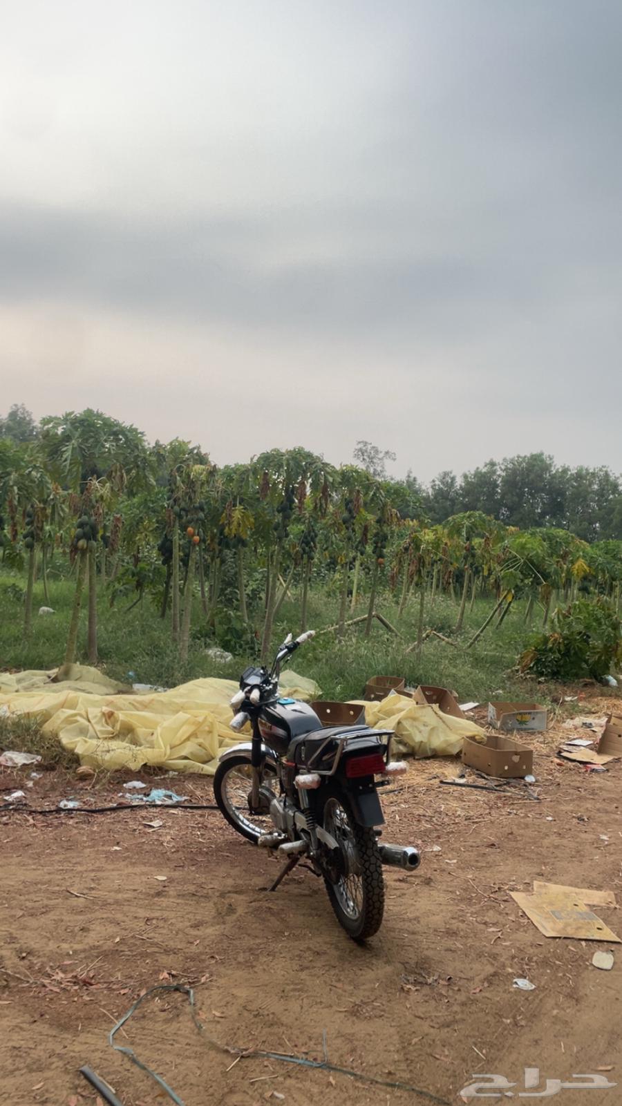 دباب اكس ميه نضيف يعلم الله الصامل يجي واتس64347019949443110