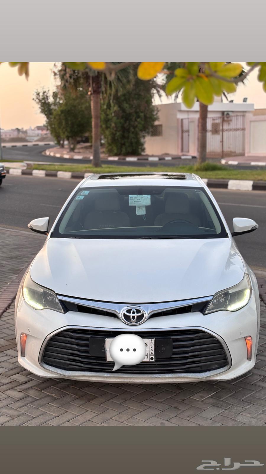 Avalon Turunc 2016 Saudi.64357527003265110