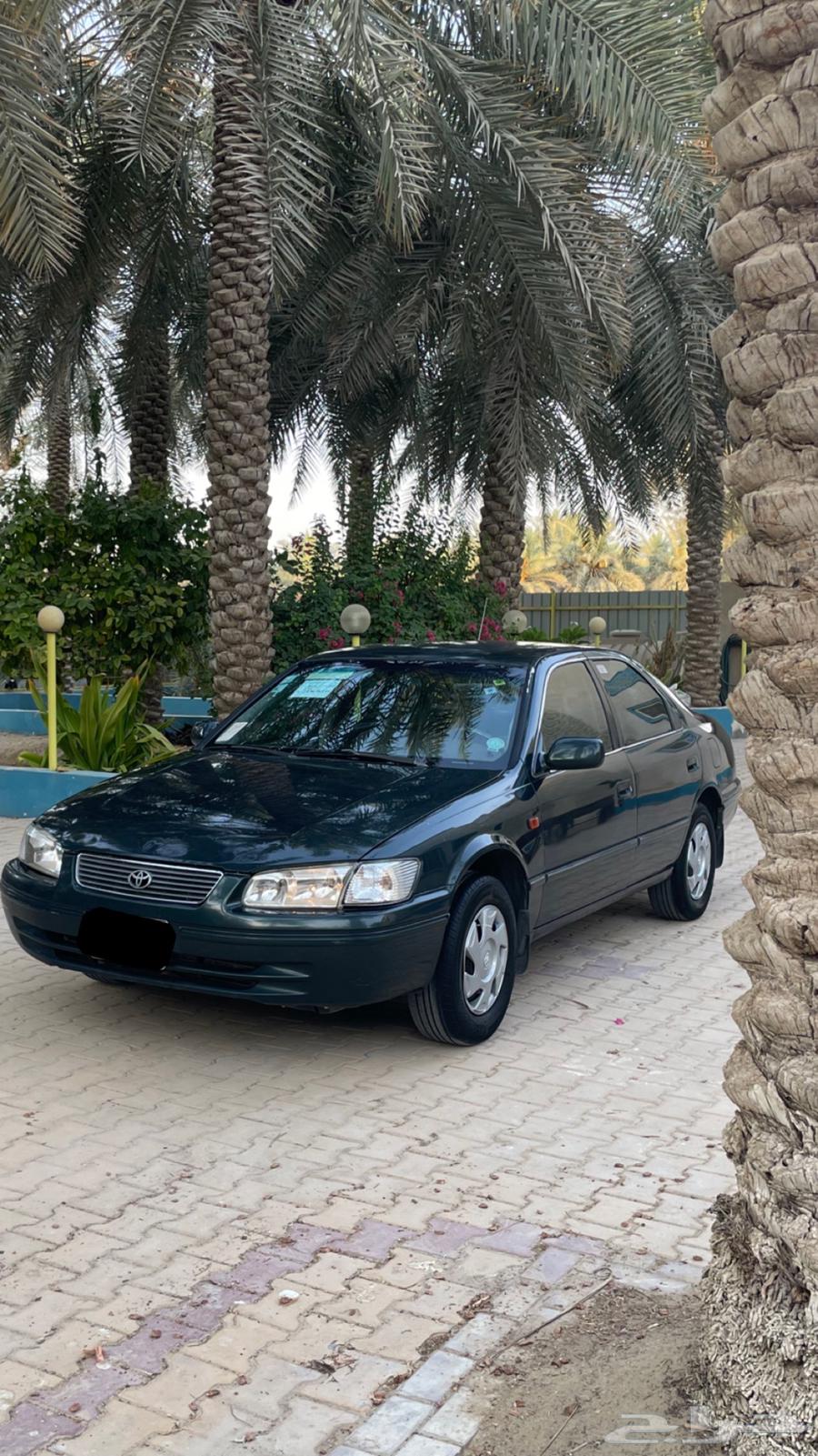 Camry 199864354798739075110