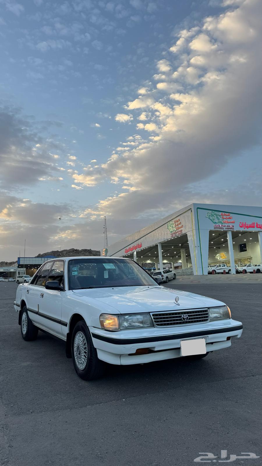 Cressida GL 199264358081015171112