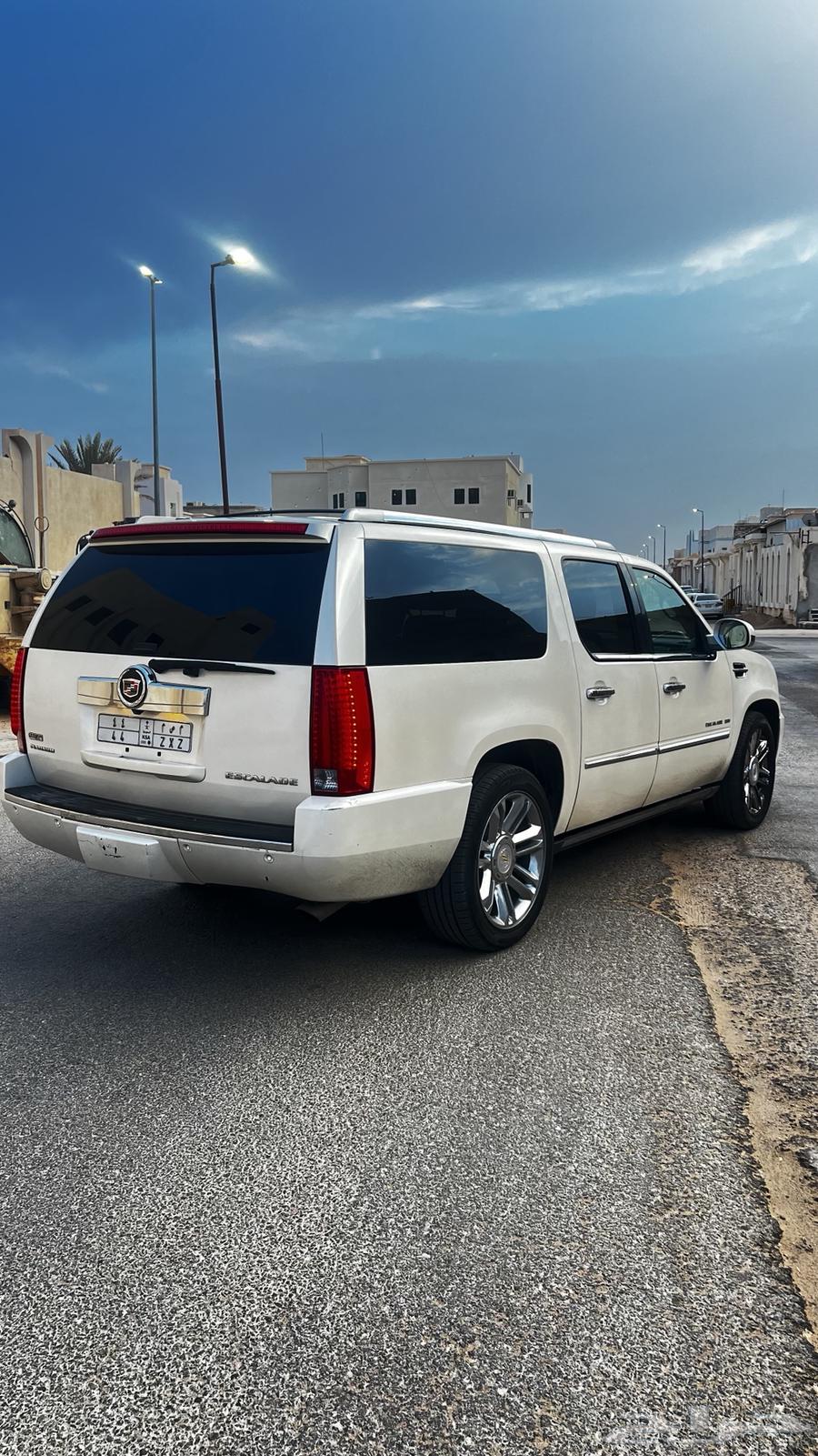 إسكاليد بلاتنيوم فل كامل من نوادر 201064356222769795110