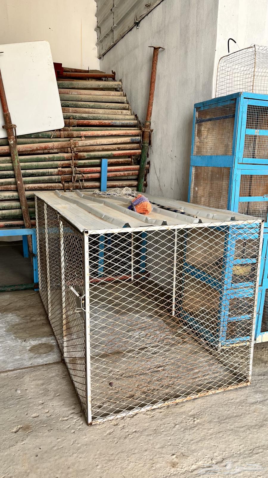 Chicken and pigeon mesh for sale64115076553985110