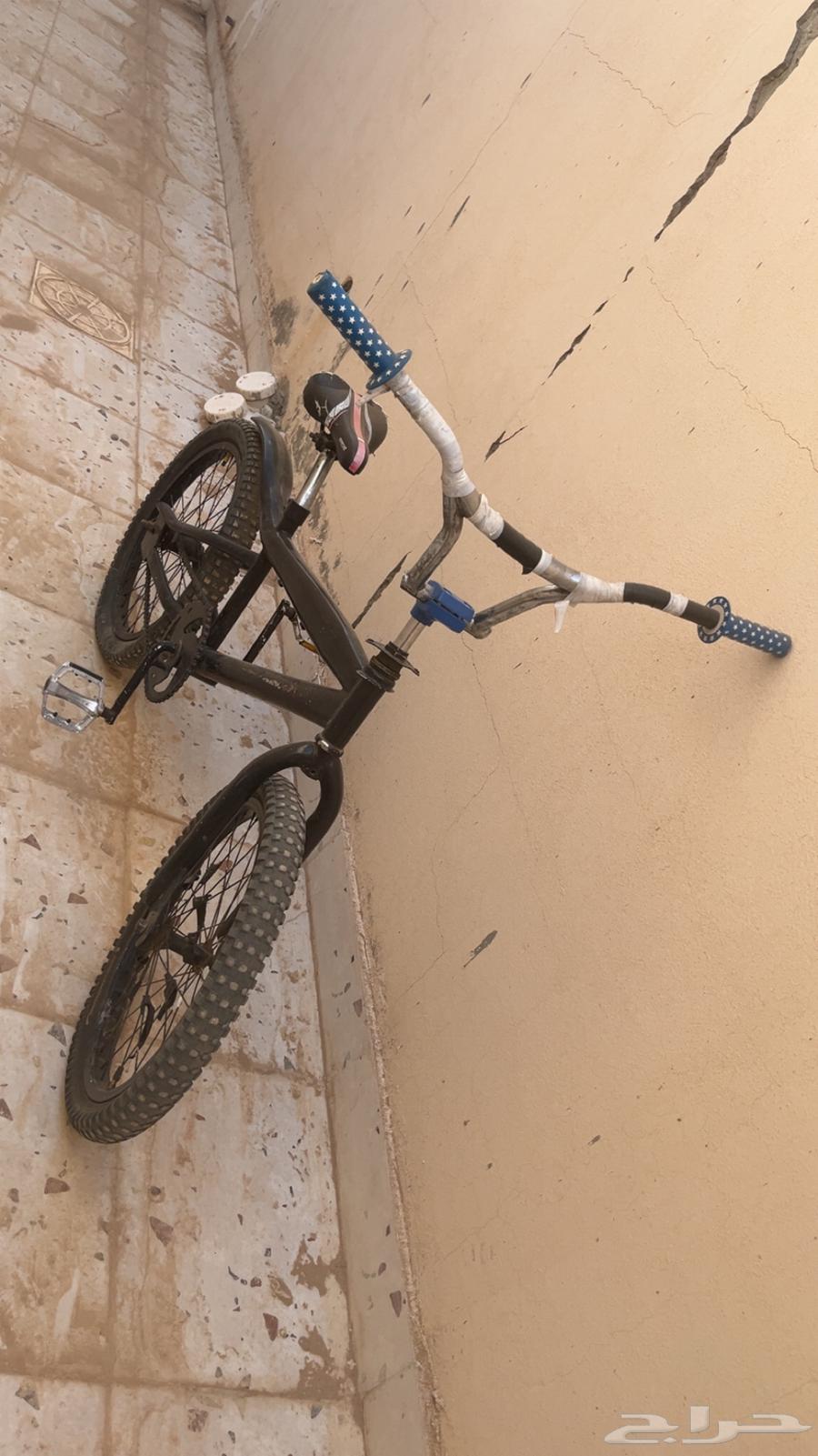 Black Cobra bike size 20 (wanted)64110858300673110