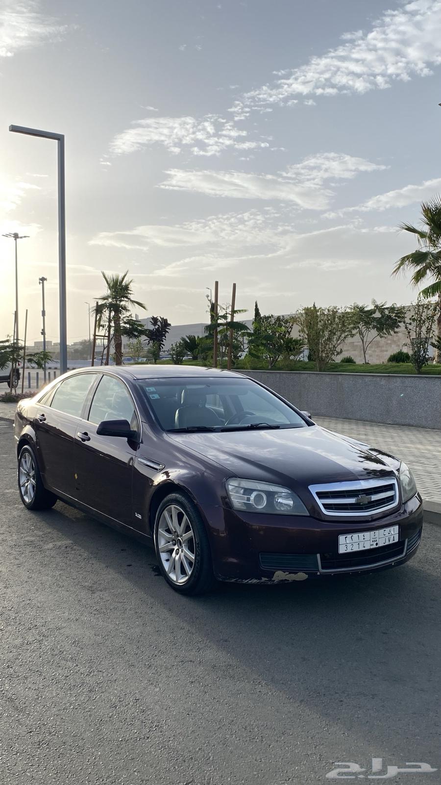 Caprice 2010 V864356077263489110